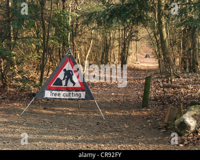 Baum schneiden Männer an der Arbeit Warnzeichen, im Wald für Wanderer Stockfoto