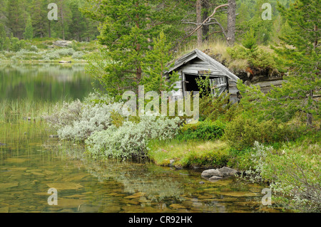 Alte Hütte durch einen See, Lom, Norwegen, Skandinavien, Europa Stockfoto