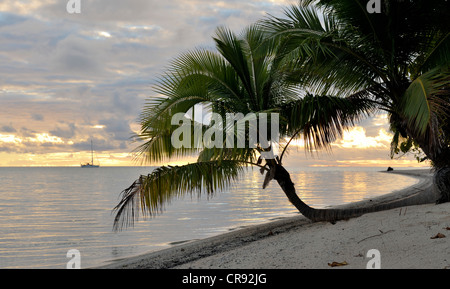 Späten Nachmittag Strandszene mit eine Fahrtenyacht, verankert in einem Traum-Ankerplatz aus Punaruku, Atoll Makemo, Tuamotus Stockfoto