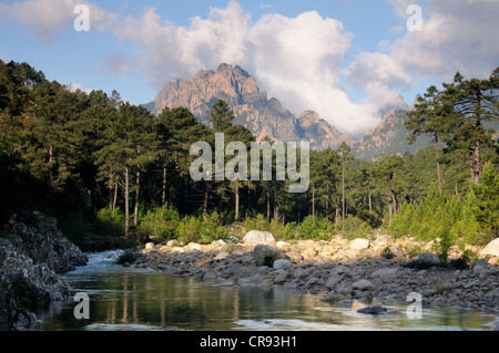 Solenzara-Schlucht, Korsika, Frankreich, Europa Stockfoto