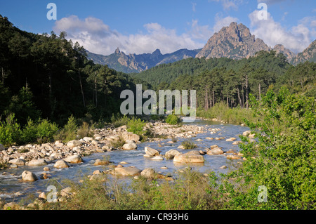 Solenzara-Schlucht, Korsika, Frankreich, Europa Stockfoto