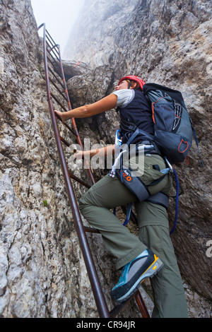 Kletterer aufsteigender Passo Santner über Rosengarten Klettersteig, in den Bergen Rosengartengruppe oder Rosengarten Torri del Stockfoto