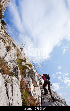 Weibliche Bergsteiger auf der Che Guevara feste Seil Route auf Casale Berg im Sarcatal-Tal, Region des Gardasees Stockfoto