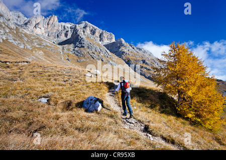 Besteigung des Piz Boe Berg auf der Piazzetta Klettern Route, Dolomiten, Alto Adige, Italien, Europa Stockfoto