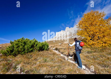 Besteigung des Piz Boe Berg auf der Piazzetta Klettern Route, Dolomiten, Alto Adige, Italien, Europa Stockfoto