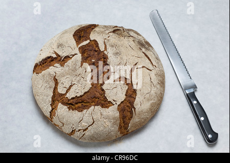 Hausgemachter Sauerteig Brot, Roggen Brot in einem Backofen gebacken Stockfoto