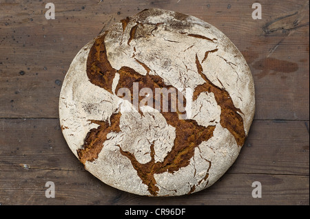 Hausgemachter Sauerteig Brot, Roggen Brot in einem Backofen gebacken Stockfoto