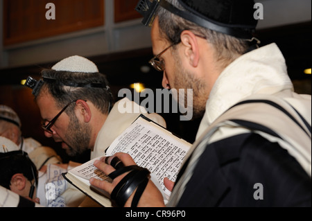 Beten, orthodoxe Juden, Westmauer oder Klagemauer, alte Stadt von Jerusalem, arabische Viertel, Jerusalem, Israel, Nahost Stockfoto