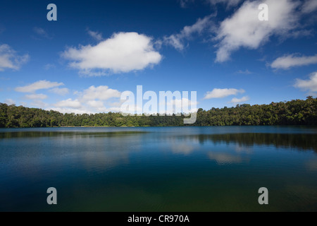 Lake Eacham, Kratersee Crater Lakes National Park, Atherton Tablelands, Queensland, Australien Stockfoto