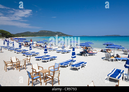 Palombaggia Strand, Süd-Ost-Küste, Mittelmeer, Korsika, Frankreich, Europa Stockfoto