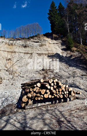 Haufen von Holz vor einem Wald und Land Rutsche, über dem See Tegernsee, Natur-reserve, Bayern, Deutschland, Europa Stockfoto