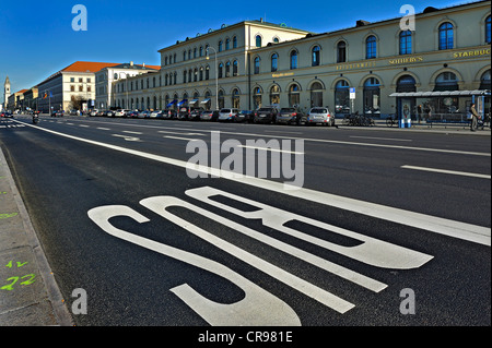 Bus-Fahrbahnmarkierung auf Ludwigstraße, München, Bayern, Deutschland, Europa Stockfoto