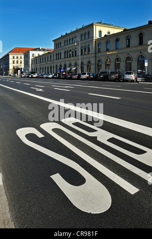 Bus-Fahrbahnmarkierung auf Ludwigstraße, München, Bayern, Deutschland, Europa Stockfoto