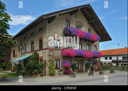 Altes Bauernhaus mit Geranien (Pelargonium) auf den Balkonen, Schlacht in der Nähe von München, Bayern, Deutschland, Europa Stockfoto