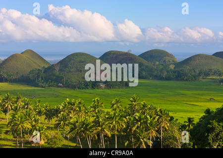 Chocolate Hills, Bohol Island, Philippinen Stockfoto