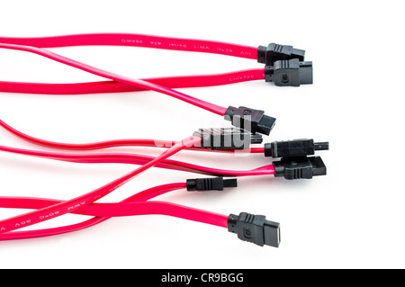 Mehreren SATA-Kabel isoliert auf weißem Hintergrund Stockfoto