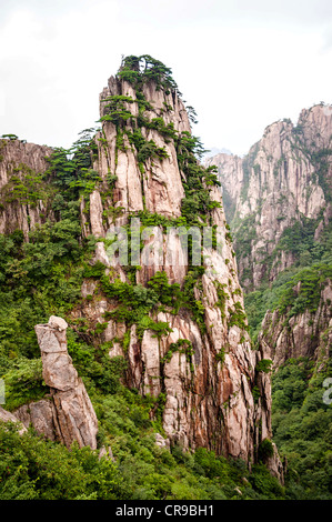 Huangshan-Berg in einem Tal in China Stockfoto