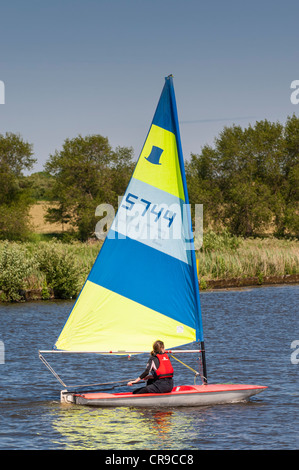 Segeln-Topper-Dinghys zeigt Bewegung im Beccles Amateur Sailing Club im Vereinigten Königreich Stockfoto