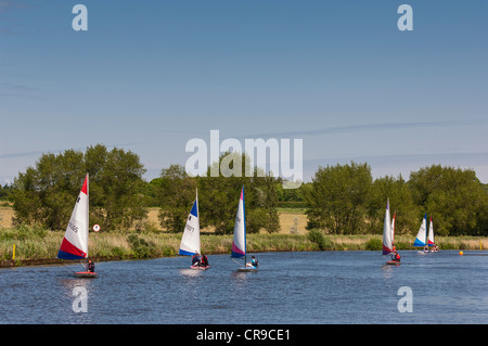 Segeln-Topper-Dinghys zeigt Bewegung im Beccles Amateur Sailing Club im Vereinigten Königreich Stockfoto