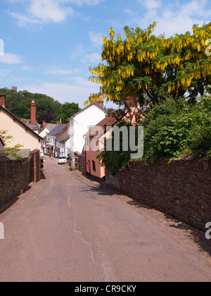 Ausblick von der Spitze der Dunster High Street Eingang Dunster Castle entnommen Stockfoto