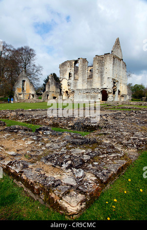 Minster Lovell Hall, ehemaligen Gutshof, jetzt eine historische Ruine. Minster Lovell, Oxfordshire, Vereinigtes Königreich, Europa Stockfoto