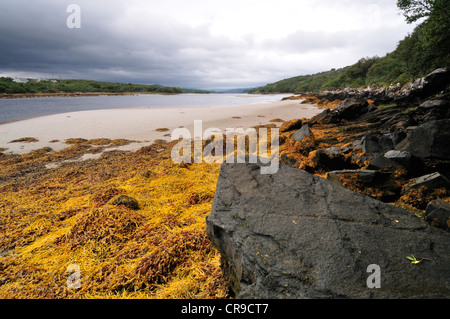 Gweebarra River, Donegal, Irland, Europa Stockfoto