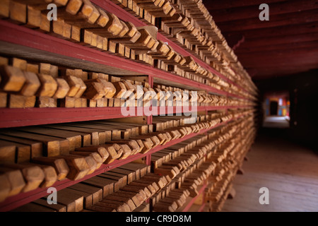 Derge Parkhang Druckerei im Jahre 1729 gebaut. Reihen von Druckstöcken in Racks. Gespeichert. Religiöse Texte. Druck-Ausrüstung. Stockfoto