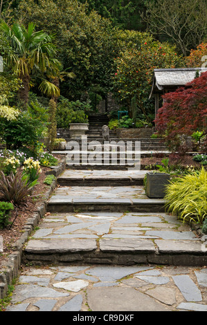 Verrückte gepflasterte Schritte mit exotischen Pflanzen und Bäumen zur Statue und Zuflucht in Rosemoor Gardens North Devon ausgekleidet. Stockfoto