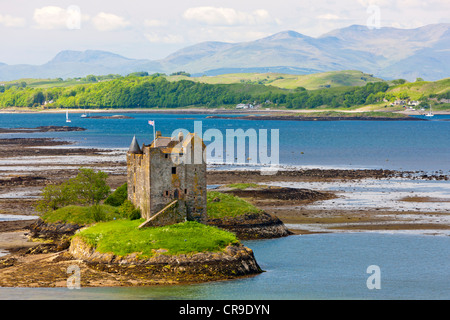 Castle Stalker ein 15. Jahrhundert Turmhaus, Loch Laich, Portnacroish, Portnacroish, Schottland, Vereinigtes Königreich, Europa Stockfoto