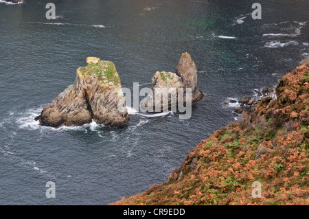 Slieve League, der höchsten Klippen in Europa, Bunglass Point, County Donegal, Republik Irland, Europa Stockfoto