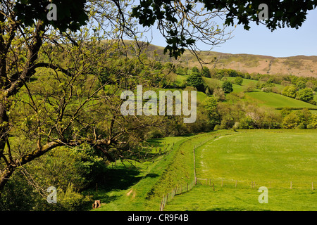 Die Auen des Flusses Dee in Dentdale, Cumbria, England Stockfoto