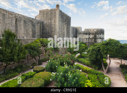 Ein Garten mit beschnittenen Hecken und Wege außerhalb der alten Stadtmauern in Dubrovnik. Stockfoto