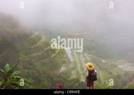 Igorot-Indianerin mit Reisterrassen der Philippinischen Kordilleren, Banaue, Ifugao Province, Philippinen Stockfoto