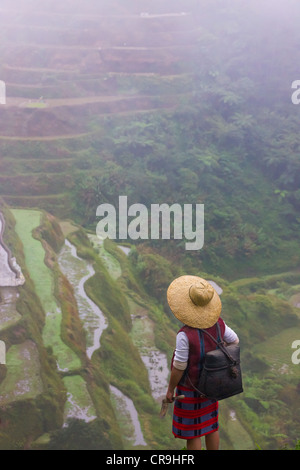 Igorot-Indianerin mit Reisterrassen der Philippinischen Kordilleren, Banaue, Ifugao Province, Philippinen Stockfoto