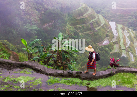 Igorot-Indianerin mit Reisterrassen der Philippinischen Kordilleren, Banaue, Ifugao Province, Philippinen Stockfoto