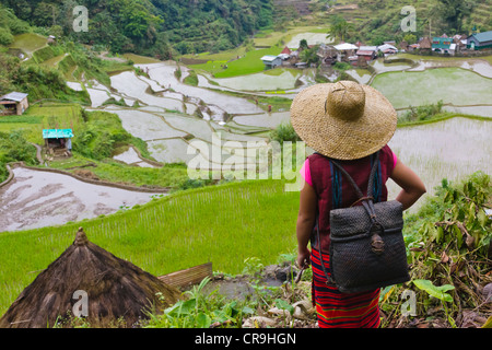 Igorot-Indianerin mit Reisterrassen der Philippinischen Kordilleren, Banaue, Ifugao Province, Philippinen Stockfoto