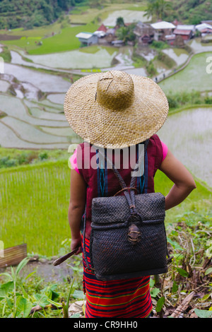 Igorot-Indianerin mit Reisterrassen der Philippinischen Kordilleren, Banaue, Ifugao Province, Philippinen Stockfoto