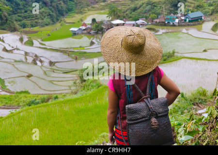 Igorot-Indianerin mit Reisterrassen der Philippinischen Kordilleren, Banaue, Ifugao Province, Philippinen Stockfoto