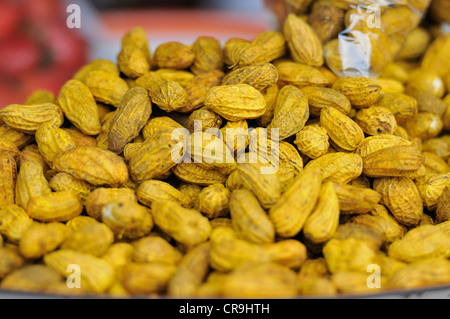 Arachis Hypogaea, Erdnüsse oder Erdnuss, Fabaceae, Bedagul Markt, Bali, Indonesien, Asien Stockfoto