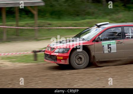 Rainworth Skoda Dukeries Rally 2012 im Sherwood Forest, Nottinghamshire Stockfoto