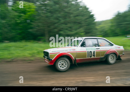 Rainworth Skoda Dukeries Rally 2012 im Sherwood Forest, Nottinghamshire Stockfoto