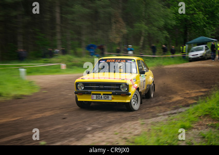 Rainworth Skoda Dukeries Rally 2012 im Sherwood Forest, Nottinghamshire Stockfoto