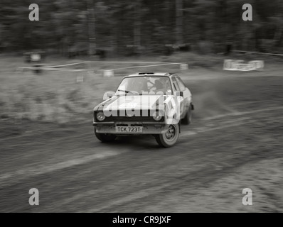 Rainworth Skoda Dukeries Rally 2012 im Sherwood Forest, Nottinghamshire Stockfoto