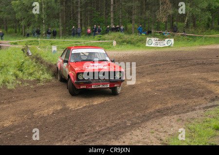 Rainworth Skoda Dukeries Rally 2012 im Sherwood Forest, Nottinghamshire Stockfoto