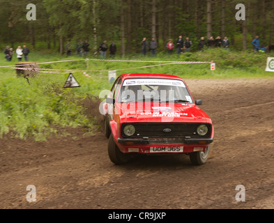 Rainworth Skoda Dukeries Rally 2012 im Sherwood Forest, Nottinghamshire Stockfoto