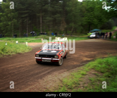 Rainworth Skoda Dukeries Rally 2012 im Sherwood Forest, Nottinghamshire Stockfoto