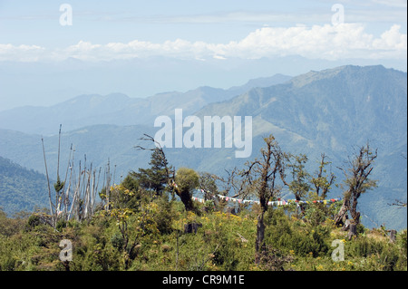 Gebetsfahnen am Pele La Pass (3420m), schwarzen Berge, Bhutan Asien Stockfoto