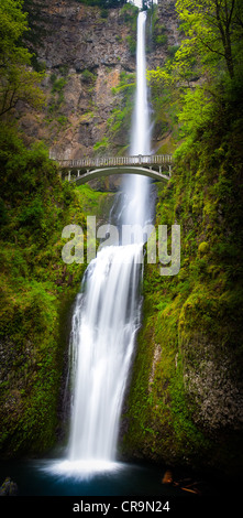 Multnomah Falls im Columbia River Gorge, Oregon Stockfoto