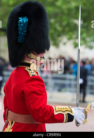 Gardisten in der Mall für Trooping The Colour, die Queen Geburtstag zu feiern. Die Mall, London, UK. Stockfoto