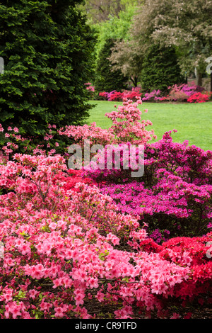 Osborne-Garten in Brooklyn Botanic Garden, NYC, USA Stockfoto